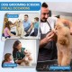 JASON Professional Dog Scissors Set 6 in 1 Fur Scissors for Dogs Set - 7 Inch Straight/Curved/Chunker Thinning Scissors with Ergonomic Handle, Rose Gold JASON Professional Dog Scissors Set 6 in 1 Fur Scissors for Dogs Set - 7 Inch Straight/Curved/Chunker Thinning Scissors with Ergonomic Handle, Rose Gold