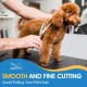 JASON Professional Dog Scissors Set 6 in 1 Fur Scissors for Dogs Set - 7 Inch Straight/Curved/Chunker Thinning Scissors with Ergonomic Handle, Rose Gold JASON Professional Dog Scissors Set 6 in 1 Fur Scissors for Dogs Set - 7 Inch Straight/Curved/Chunker Thinning Scissors with Ergonomic Handle, Rose Gold