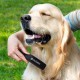 John Paul Pet Painless Grooming Brush for Dogs and Cats