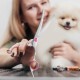Jostift Dog Scissors, Fur Scissors for Dogs and Cats, Curved Scissors, Dog Scissors Set, Professional Round Grooming Scissors, Cat Grooming Scissors, Dog Grooming Scissors for Cats and Other Pets