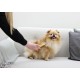 Kerbl Magicbrush Dog Kerbl Magicbrush Dog