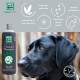 MENFORSAN Black Shampoo for Dogs Colour Intensifier Shine Enhancer Removes Orange Tones Deep Moisturiser 1 L MENFORSAN Black Shampoo for Dogs Colour Intensifier Shine Enhancer Removes Orange Tones Deep Moisturiser 1 L