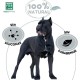 MENFORSAN Black Shampoo for Dogs Colour Intensifier Shine Enhancer Removes Orange Tones Deep Moisturiser 1 L MENFORSAN Black Shampoo for Dogs Colour Intensifier Shine Enhancer Removes Orange Tones Deep Moisturiser 1 L