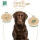 MENFORSAN Brown Hair Shampoo for Dogs Colour Intensification Shine Enhancer Removes Orange Tones Deep Moisturiser 5 L MENFORSAN Brown Hair Shampoo for Dogs Colour Intensification Shine Enhancer Removes Orange Tones Deep Moisturiser 5 L