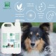 MENFORSAN Colour Intensifying Shampoo for Dogs 5 Litres Intensifies and Protects Colour Gives Shine Vegan Product MENFORSAN Colour Intensifying Shampoo for Dogs 5 Litres Intensifies and Protects Colour Gives Shine Vegan Product