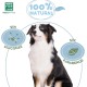 MENFORSAN Colour Intensifying Shampoo for Dogs 5 Litres Intensifies and Protects Colour Gives Shine Vegan Product MENFORSAN Colour Intensifying Shampoo for Dogs 5 Litres Intensifies and Protects Colour Gives Shine Vegan Product
