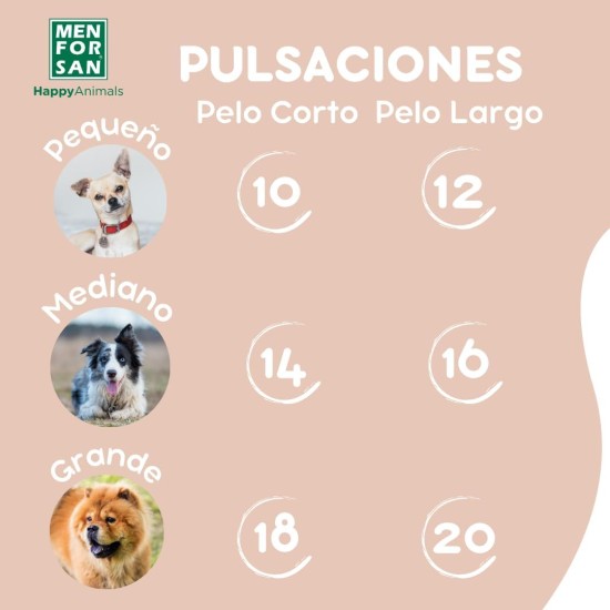MENFORSAN Macadamia Oil Shampoo for Dogs, Nourishes and Shines Coat, Detangling Effect, Anti-Frizz and Regenerating Properties, Citrus 300ml MENFORSAN Macadamia Oil Shampoo for Dogs, Nourishes and Shines Coat, Detangling Effect, Anti-Frizz and Regenerating Properties, Citrus 300ml