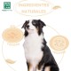 MENFORSAN Macadamia Oil Shampoo for Dogs, Nourishes and Shines Coat, Detangling Effect, Anti-Frizz and Regenerating Properties, Citrus 300ml MENFORSAN Macadamia Oil Shampoo for Dogs, Nourishes and Shines Coat, Detangling Effect, Anti-Frizz and Regenerating Properties, Citrus 300ml