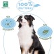 MENFORSAN Odour Eliminating Dog Shampoo, Eliminates Bad Odours from Fur Talcum Blue 1L MENFORSAN Odour Eliminating Dog Shampoo, Eliminates Bad Odours from Fur Talcum Blue 1L