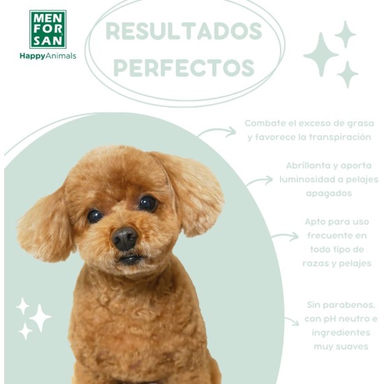 Menforsan Biotin Shampoo for Dogs, Regenerates Coat, Strengthens Hair Roots, Prevents Seborrheic Dermatitis, Shines 300 ml Menforsan Biotin Shampoo for Dogs, Regenerates Coat, Strengthens Hair Roots, Prevents Seborrheic Dermatitis, Shines 300 ml