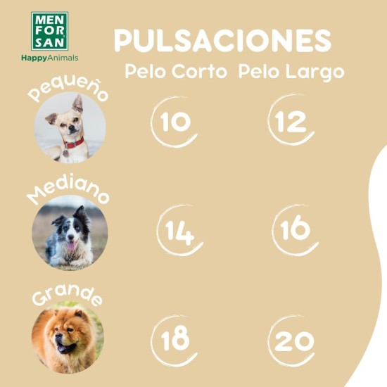 Menforsan Dog Shampoo with Oatmeal | Softening and Soothing Effect | For Sensitive and Sensitive Skin | 100% Natural Oats | Mild Fragrance | 300 ml Menforsan Dog Shampoo with Oatmeal | Softening and Soothing Effect | For Sensitive and Sensitive Skin | 100% Natural Oats | Mild Fragrance | 300 ml