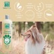 Menforsan Dog Shampoo with Oatmeal | Softening and Soothing Effect | For Sensitive and Sensitive Skin | 100% Natural Oats | Mild Fragrance | 300 ml Menforsan Dog Shampoo with Oatmeal | Softening and Soothing Effect | For Sensitive and Sensitive Skin | 100% Natural Oats | Mild Fragrance | 300 ml