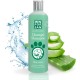 Menforsan Natural Soothing Regenerating/Aloe Vera Dog Shampoo 300 ml Menforsan Natural Soothing Regenerating/Aloe Vera Dog Shampoo 300 ml