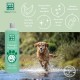 Menforsan Natural Soothing Regenerating/Aloe Vera Dog Shampoo 300 ml Menforsan Natural Soothing Regenerating/Aloe Vera Dog Shampoo 300 ml