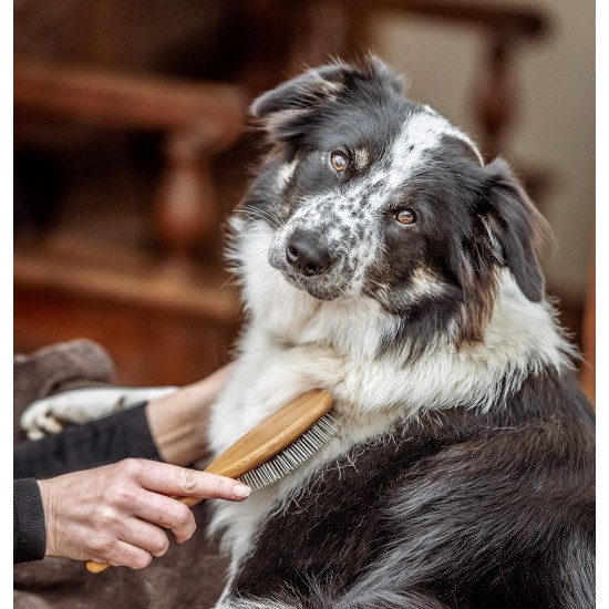 Mikki 6280012 Bamboo Brush with Ball Heads for Medium Length and Thick Coat, for Dogs and Cats, Made from Sustainable Bamboo. For the Care of Shaggy Fur, Small, S, 58 g, Brown Mikki 6280012 Bamboo Brush with Ball Heads for Medium Length and Thick Coat, for Dogs and Cats, Made from Sustainable Bamboo. For the Care of Shaggy Fur, Small, S, 58 g, Brown