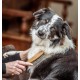 Mikki 6280012 Bamboo Brush with Ball Heads for Medium Length and Thick Coat, for Dogs and Cats, Made from Sustainable Bamboo. For the Care of Shaggy Fur, Small, S, 58 g, Brown Mikki 6280012 Bamboo Brush with Ball Heads for Medium Length and Thick Coat, for Dogs and Cats, Made from Sustainable Bamboo. For the Care of Shaggy Fur, Small, S, 58 g, Brown