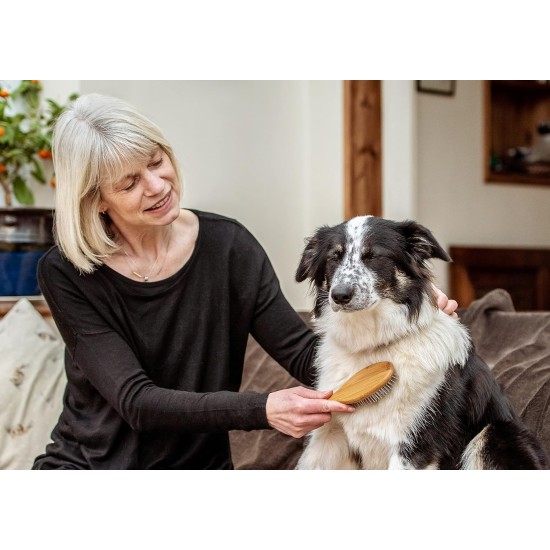 Mikki 6280012 Bamboo Brush with Ball Heads for Medium Length and Thick Coat, for Dogs and Cats, Made from Sustainable Bamboo. For the Care of Shaggy Fur, Small, S, 58 g, Brown Mikki 6280012 Bamboo Brush with Ball Heads for Medium Length and Thick Coat, for Dogs and Cats, Made from Sustainable Bamboo. For the Care of Shaggy Fur, Small, S, 58 g, Brown