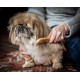 Mikki 6280022 Medium Bamboo Fur Detangler, for Medium and Long Coat, for Dogs and Cats, Made from Sustainable Bamboo, 48 g, Brown Mikki 6280022 Medium Bamboo Fur Detangler, for Medium and Long Coat, for Dogs and Cats, Made from Sustainable Bamboo, 48 g, Brown