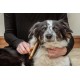 Mikki 6280031 Soft Bamboo Slicker Brush with Ball Heads for Medium/Long/Curly Coat, for Dogs and Cats, Made from Sustainable Bamboo, Small, S, 56 g Mikki 6280031 Soft Bamboo Slicker Brush with Ball Heads for Medium/Long/Curly Coat, for Dogs and Cats, Made from Sustainable Bamboo, Small, S, 56 g