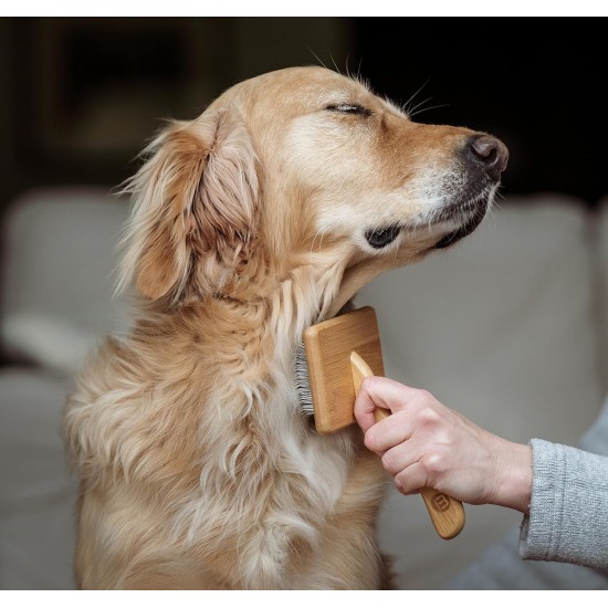 Mikki 6280031 Soft Bamboo Slicker Brush with Ball Heads for Medium/Long/Curly Coat, for Dogs and Cats, Made from Sustainable Bamboo, Small, S, 56 g Mikki 6280031 Soft Bamboo Slicker Brush with Ball Heads for Medium/Long/Curly Coat, for Dogs and Cats, Made from Sustainable Bamboo, Small, S, 56 g