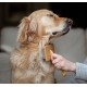 Mikki 6280031 Soft Bamboo Slicker Brush with Ball Heads for Medium/Long/Curly Coat, for Dogs and Cats, Made from Sustainable Bamboo, Small, S, 56 g Mikki 6280031 Soft Bamboo Slicker Brush with Ball Heads for Medium/Long/Curly Coat, for Dogs and Cats, Made from Sustainable Bamboo, Small, S, 56 g