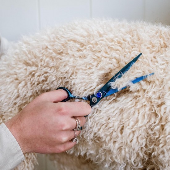 Mikki Doodle Dog Puppy Face and Paw Scissors Sharp and Durable Semi-Convex Blade Adjustable Tension Screw for Face and Precision Sensitive Areas 14cm Mikki Doodle Dog Puppy Face and Paw Scissors Sharp and Durable Semi-Convex Blade Adjustable Tension Screw for Face and Precision Sensitive Areas 14cm