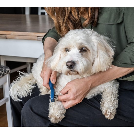 Mikki Slicker Brush for Smoothing Dog & Puppy Fur and Coat Changing Brush for Poodle Crosses such as Cockapoos, Labradoodles, Cavapoos, Maltipoos and Golden Doodles Mikki Slicker Brush for Smoothing Dog & Puppy Fur and Coat Changing Brush for Poodle Crosses such as Cockapoos, Labradoodles, Cavapoos, Maltipoos and Golden Doodles