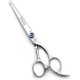 Moontay Dog Scissors Professional Grooming Scissors for Dogs Thinning Scissors Chunk Scissors for Thinning Cutting 7 Inch 440c Japanese Stainless Steel Scissors Dog Grooming Scissors Silver Moontay Dog Scissors Professional Grooming Scissors for Dogs Thinning Scissors Chunk Scissors for Thinning Cutting 7 Inch 440c Japanese Stainless Steel Scissors Dog Grooming Scissors Silver