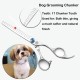 Moontay Dog Scissors Professional Grooming Scissors for Dogs Thinning Scissors Chunk Scissors for Thinning Cutting 7 Inch 440c Japanese Stainless Steel Scissors Dog Grooming Scissors Silver Moontay Dog Scissors Professional Grooming Scissors for Dogs Thinning Scissors Chunk Scissors for Thinning Cutting 7 Inch 440c Japanese Stainless Steel Scissors Dog Grooming Scissors Silver