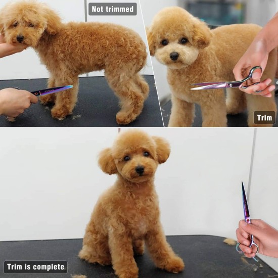 NOVOSACO 7 inch professional dog scissors set, 4-piece pet grooming scissors, straight, curved, thinning fur scissors for dogs, cats, rustproof NOVOSACO 7 inch professional dog scissors set, 4-piece pet grooming scissors, straight, curved, thinning fur scissors for dogs, cats, rustproof