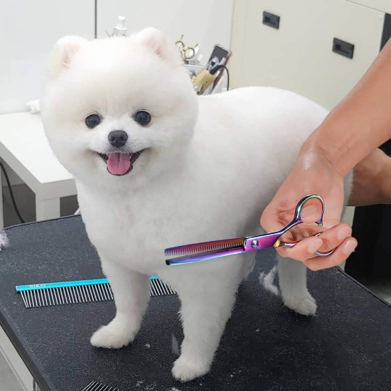 NOVOSACO 7 inch professional dog scissors set, 4-piece pet grooming scissors, straight, curved, thinning fur scissors for dogs, cats, rustproof NOVOSACO 7 inch professional dog scissors set, 4-piece pet grooming scissors, straight, curved, thinning fur scissors for dogs, cats, rustproof