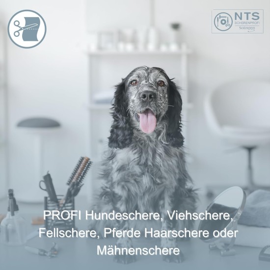 NTS-Solingen Premium Dog Scissors Livestock Scissors Fur Scissors Curved 6.0 to 9.0 Inches Rustproof 15-23 cm Made in Solingen Germany (9.0 Inches = Approx. 22.8 cm) NTS-Solingen Premium Dog Scissors Livestock Scissors Fur Scissors Curved 6.0 to 9.0 Inches Rustproof 15-23 cm Made in Solingen Germany (9.0 Inches = Approx. 22.8 cm)