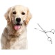 PRECORN Dog Scissors for Thinning & Detangling | Thinning Scissors & Felt Scissors Dog | Single Sided Serrated Fur Scissors for Dogs and Cats | High-Quality Metal Dematting Scissors