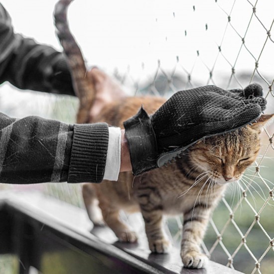 Pack of 1 cat glove, cat brush glove, cat gloves, grooming glove, cat grooming glove, for dogs, cats, short hair, long hair (right hand) Pack of 1 cat glove, cat brush glove, cat gloves, grooming glove, cat grooming glove, for dogs, cats, short hair, long hair (right hand)