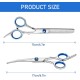 Pack of 2 Pet Scissors for Puppies, Stainless Steel Dog Hair Scissors, Cat Grooming Scissors, Pet Hair Scissors, Dog Scissors, Fur Scissors, Suitable for Pets and Dogs for Hair Cutting (Blue)