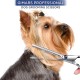 Pack of 2 Pet Scissors for Puppies, Stainless Steel Dog Hair Scissors, Cat Grooming Scissors, Pet Hair Scissors, Dog Scissors, Fur Scissors, Suitable for Pets and Dogs for Hair Cutting (Blue)