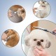 Pack of 2 Pet Scissors for Puppies, Stainless Steel Dog Hair Scissors, Cat Grooming Scissors, Pet Hair Scissors, Dog Scissors, Fur Scissors, Suitable for Pets and Dogs for Hair Cutting (Blue)