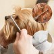 Pack of 5 Professional Dog Scissors Set, Including 1 Thinning Scissors, 2 Curved, 1 Straight Scissors, 1 Grooming Comb, for Grooming Dogs, Cats, Pets, for Full Body, Face, Nose and Ear Pack of 5 Professional Dog Scissors Set, Including 1 Thinning Scissors, 2 Curved, 1 Straight Scissors, 1 Grooming Comb, for Grooming Dogs, Cats, Pets, for Full Body, Face, Nose and Ear