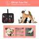 Penzance Dog Nail Clippers Set, Quick Safety Device to Avoid Overcutting, Razor Sharp Blades, Storage Bag and Nail File, Professional Grooming Penzance Dog Nail Clippers Set, Quick Safety Device to Avoid Overcutting, Razor Sharp Blades, Storage Bag and Nail File, Professional Grooming