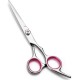 Pet Dog Grooming Scissors, High Performance Titanium Coated Stainless Steel Dog Salon Trimmer Thinning/Straight/Curved Scissors, Straight Scissors Pet Dog Grooming Scissors, High Performance Titanium Coated Stainless Steel Dog Salon Trimmer Thinning/Straight/Curved Scissors, Straight Scissors