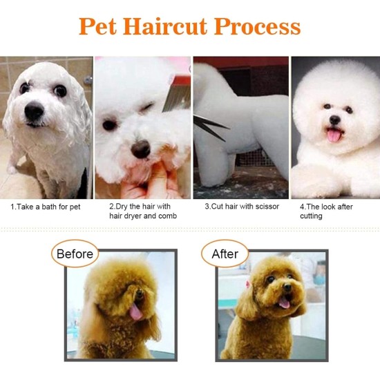 Pet Grooming Scissors Set, Dog Cat Hairdressing Scissors Set, Scaredy Cut Silent Pet Grooming Set for Dogs, Cats and Other Animals, Cutting Tijeras Pet Grooming Scissors Set, Dog Cat Hairdressing Scissors Set, Scaredy Cut Silent Pet Grooming Set for Dogs, Cats and Other Animals, Cutting Tijeras