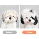 Pet Grooming Scissors for Dogs with Round Safety Tips, Heavy Duty Titanium Pet Grooming Trimmer Set, Professional Thinning Scissors, Straight Scissors with Comb for Dogs and Cats (3 Pack) Pet Grooming Scissors for Dogs with Round Safety Tips, Heavy Duty Titanium Pet Grooming Trimmer Set, Professional Thinning Scissors, Straight Scissors with Comb for Dogs and Cats (3 Pack)