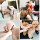 Pet Grooming Scissors for Dogs with Round Safety Tips, Heavy Duty Titanium Pet Grooming Trimmer Set, Professional Thinning Scissors, Straight Scissors with Comb for Dogs and Cats (3 Pack) Pet Grooming Scissors for Dogs with Round Safety Tips, Heavy Duty Titanium Pet Grooming Trimmer Set, Professional Thinning Scissors, Straight Scissors with Comb for Dogs and Cats (3 Pack)