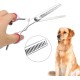 Pet Scissors, 6 Inch Dog Scissors, Stainless Steel Dog Hair Scissors, Thinning Scissors/Curved Scissors/Straight Scissors, Dog Grooming Scissors, Grooming Scissors for Dogs, Cats, Pet Hair Pet Scissors, 6 Inch Dog Scissors, Stainless Steel Dog Hair Scissors, Thinning Scissors/Curved Scissors/Straight Scissors, Dog Grooming Scissors, Grooming Scissors for Dogs, Cats, Pet Hair