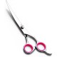 Pet Scissors, 6 Inch Dog Scissors, Stainless Steel Dog Hair Scissors, Thinning Scissors/Curved Scissors/Straight Scissors, Dog Grooming Scissors, Grooming Scissors for Dogs, Cats, Pet Hair Pet Scissors, 6 Inch Dog Scissors, Stainless Steel Dog Hair Scissors, Thinning Scissors/Curved Scissors/Straight Scissors, Dog Grooming Scissors, Grooming Scissors for Dogs, Cats, Pet Hair