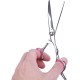 Pet Scissors, 6 Inch Dog Scissors, Stainless Steel Dog Hair Scissors, Thinning Scissors/Curved Scissors/Straight Scissors, Dog Grooming Scissors, Grooming Scissors for Dogs, Cats, Pet Hair Pet Scissors, 6 Inch Dog Scissors, Stainless Steel Dog Hair Scissors, Thinning Scissors/Curved Scissors/Straight Scissors, Dog Grooming Scissors, Grooming Scissors for Dogs, Cats, Pet Hair