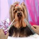 Pet Scissors, 6 Inch Dog Scissors, Stainless Steel Dog Hair Scissors, Thinning Scissors/Curved Scissors/Straight Scissors, Dog Grooming Scissors, Grooming Scissors for Dogs, Cats, Pet Hair Pet Scissors, 6 Inch Dog Scissors, Stainless Steel Dog Hair Scissors, Thinning Scissors/Curved Scissors/Straight Scissors, Dog Grooming Scissors, Grooming Scissors for Dogs, Cats, Pet Hair
