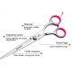Pet Scissors, 6 Inch Dog Scissors, Stainless Steel Dog Hair Scissors, Thinning Scissors/Curved Scissors/Straight Scissors, Dog Grooming Scissors, Grooming Scissors for Dogs, Cats, Pet Hair Pet Scissors, 6 Inch Dog Scissors, Stainless Steel Dog Hair Scissors, Thinning Scissors/Curved Scissors/Straight Scissors, Dog Grooming Scissors, Grooming Scissors for Dogs, Cats, Pet Hair