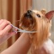 Pet Scissors, Grooming Scissors, 6 Inch Professional Stainless Steel Dog Grooming Scissors for Dogs, Cat Hair Scissors for Dogs, Paw Scissors, Curved Scissors (A) Pet Scissors, Grooming Scissors, 6 Inch Professional Stainless Steel Dog Grooming Scissors for Dogs, Cat Hair Scissors for Dogs, Paw Scissors, Curved Scissors (A)