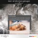 Pet Scissors Paw Scissors Curved Dog Hair Scissors (11.5 cm) Pet Scissors Paw Scissors Curved Dog Hair Scissors (11.5 cm)
